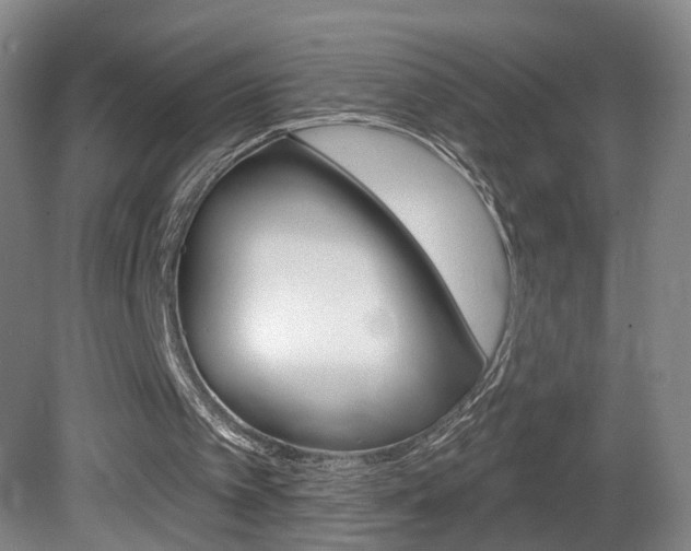 X0000081560097200701151010