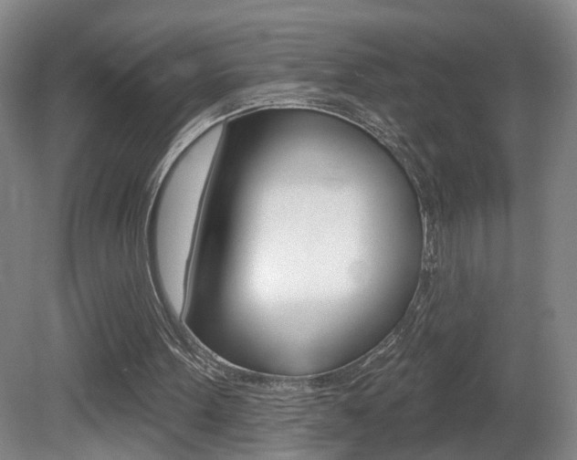 X0000081560099200701151010