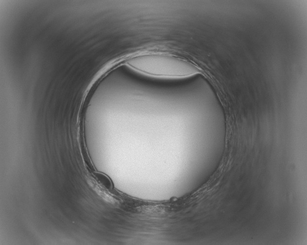 X0000081560100200701151010