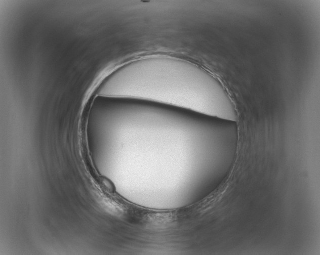 X0000081560102200701151010