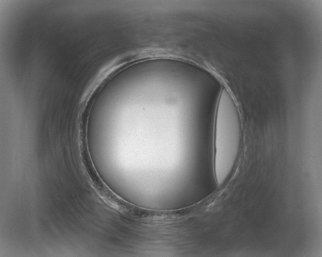 X0000081560103200701151010