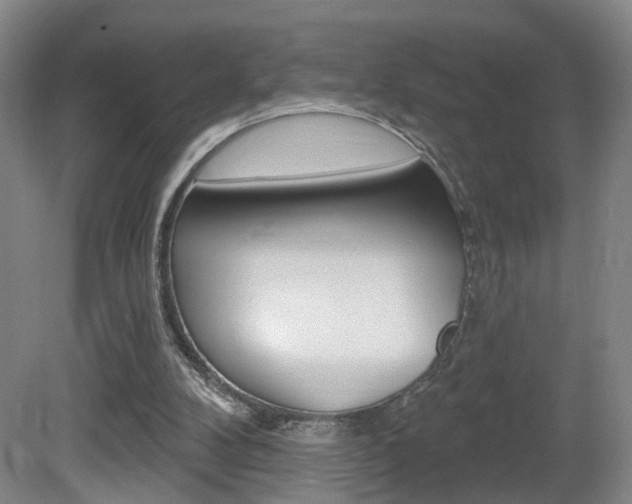 X0000081560104200701151010