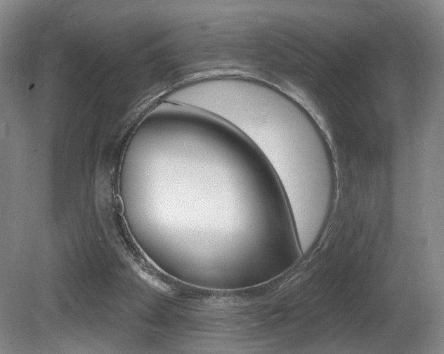 X0000081560105200701151010