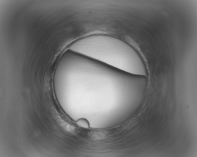 X0000081560106200701151010