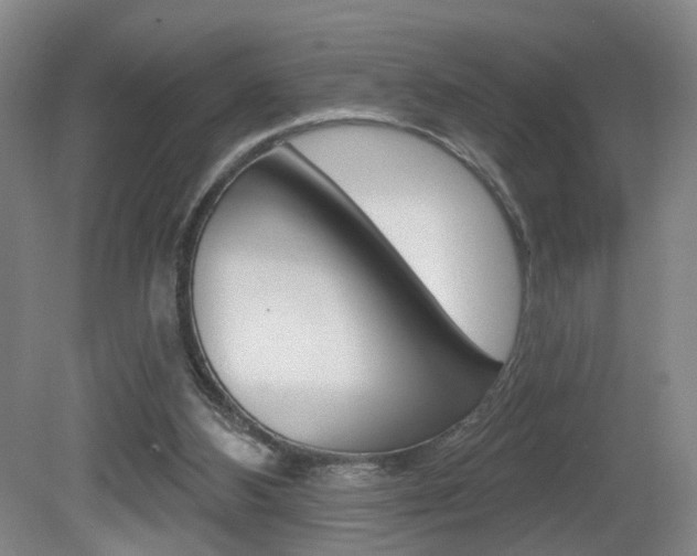 X0000081560108200701151010
