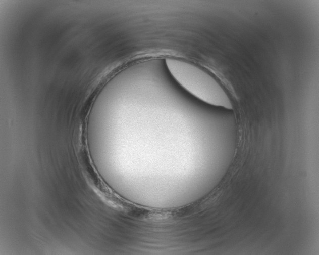 X0000081560110200701151010