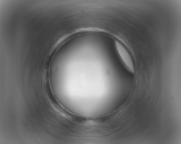 X0000081560111200701151010