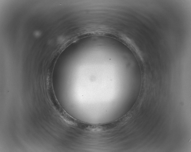 X0000081560113200701151010