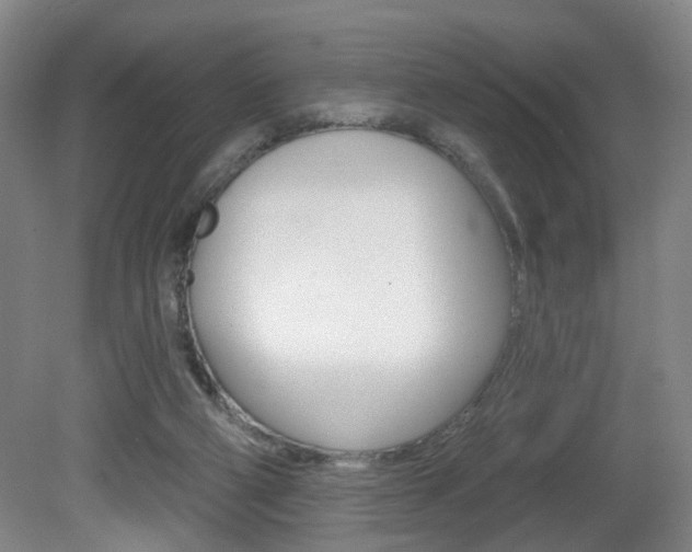 X0000081560114200701151010