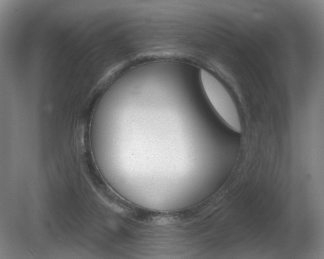 X0000081560115200701151010