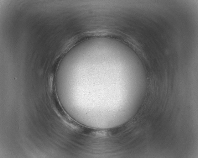 X0000081560118200701151010