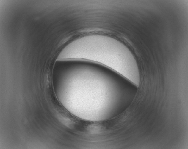 X0000081560119200701151010