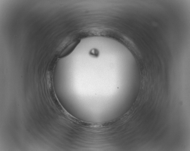 X0000081560121200701151010