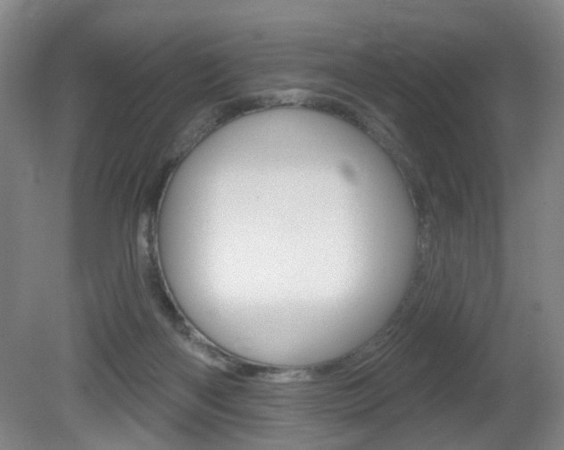 X0000081560122200701151010
