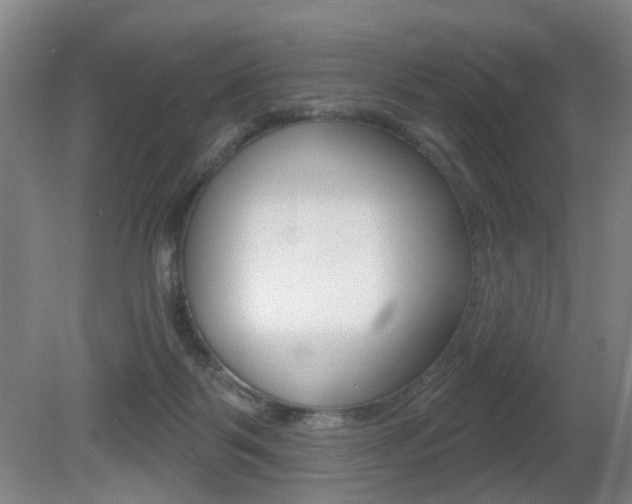 X0000081560123200701151010