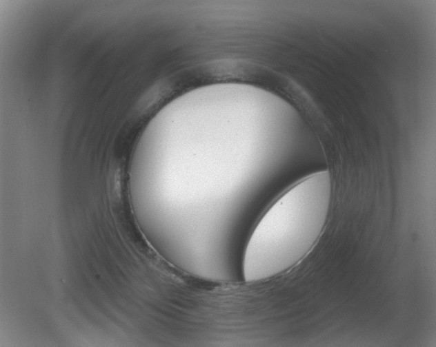 X0000081560124200701151010