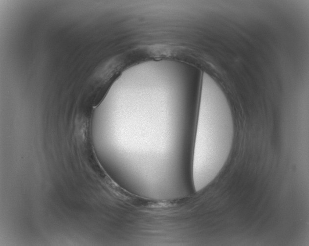 X0000081560125200701151010