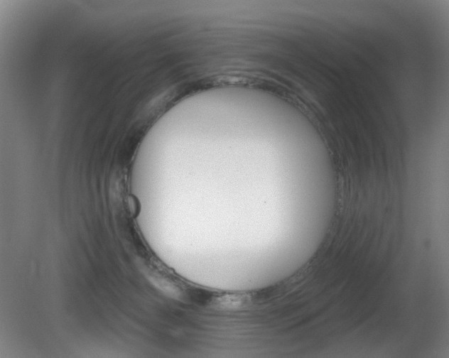 X0000081560126200701151010