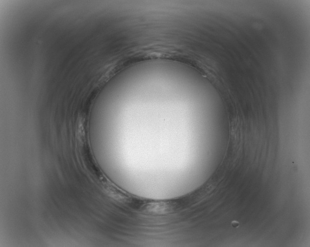X0000081560127200701151010