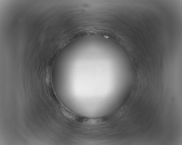 X0000081560129200701151010