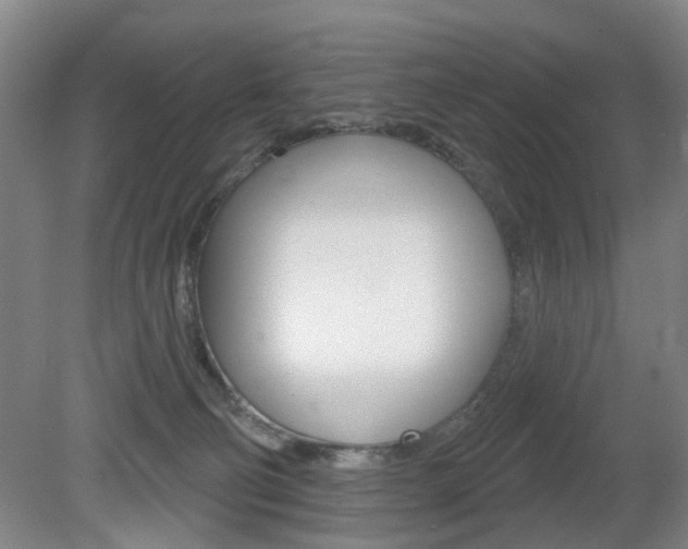 X0000081560130200701151009