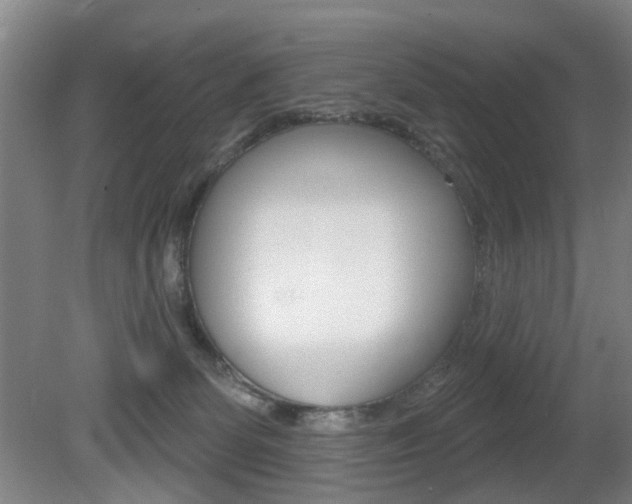 X0000081560131200701151009