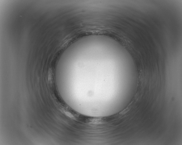 X0000081560132200701151009