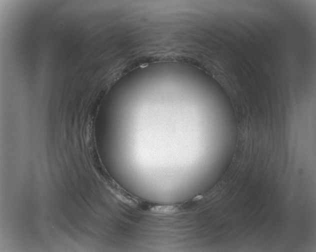 X0000081560133200701151009