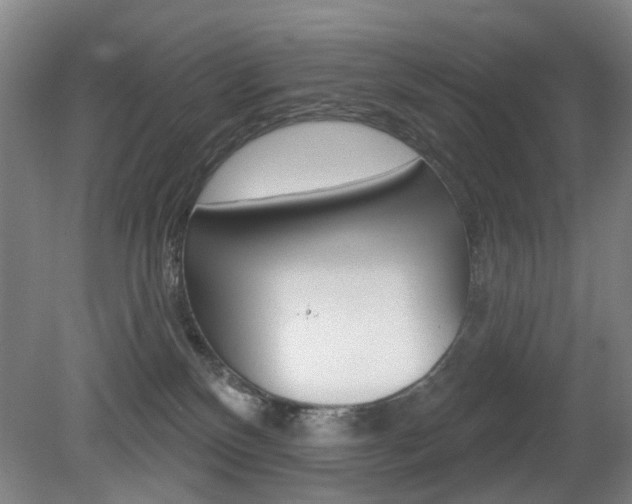 X0000081560136200701151009