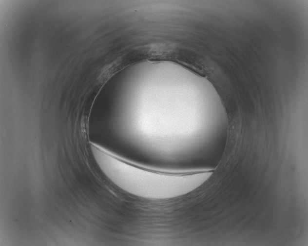 X0000081560137200701151009