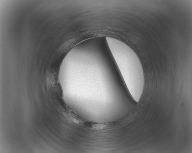 X0000081560139200701151009