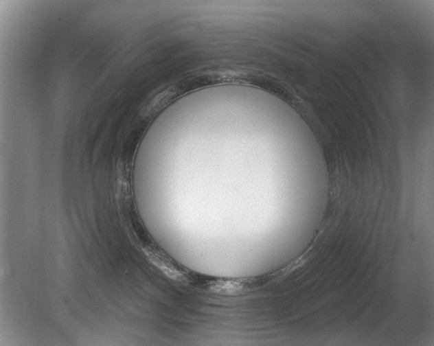 X0000081560140200701151009
