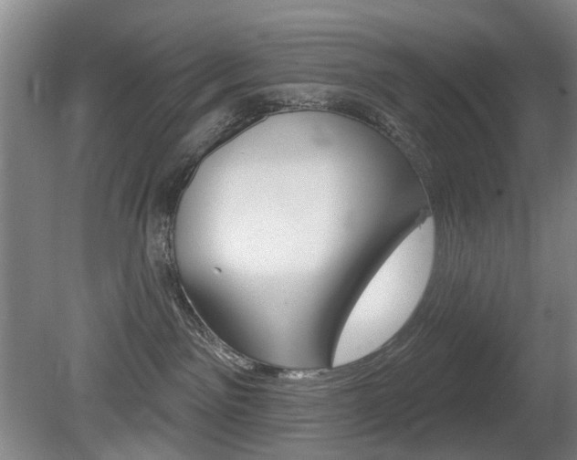 X0000081560141200701151009