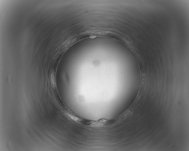X0000081560143200701151009