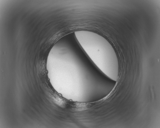 X0000081560144200701151009