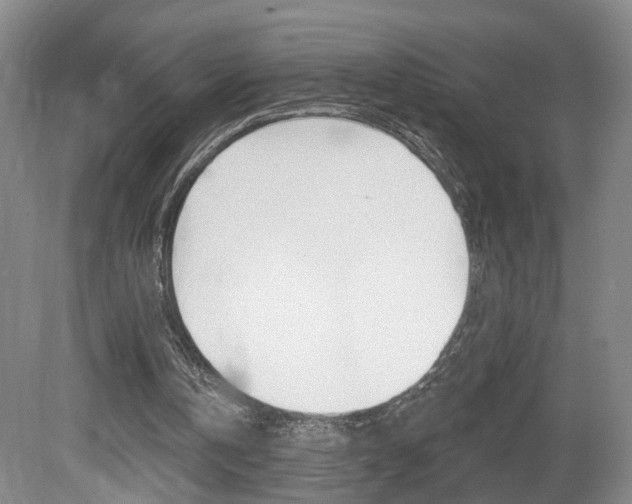 X0000081560146200701151008