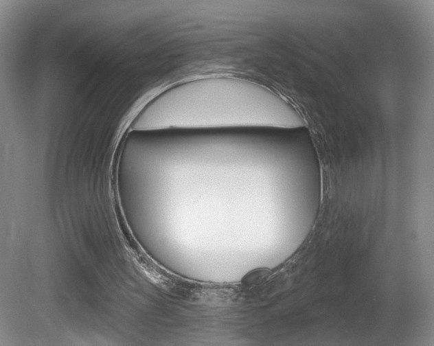 X0000081560147200701151008