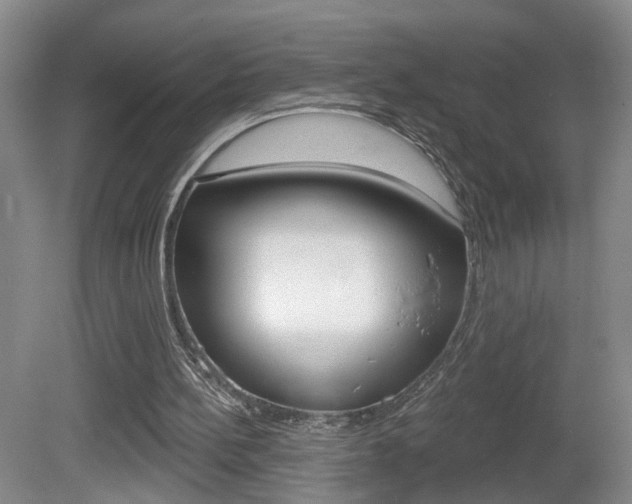 X0000081560148200701151008