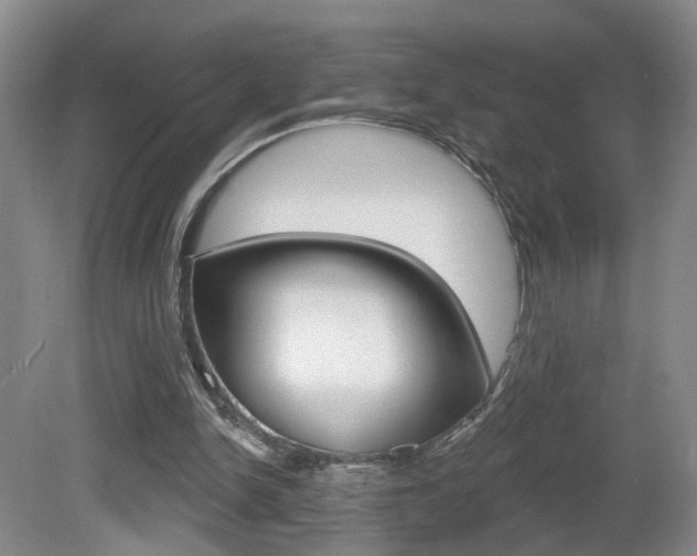 X0000081560150200701151009