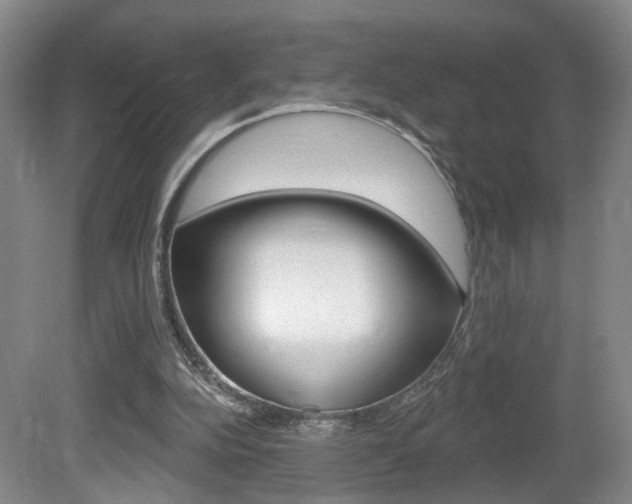 X0000081560152200701151009