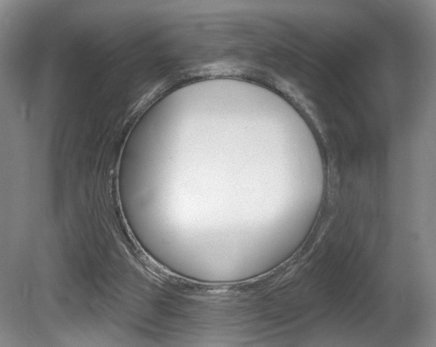 X0000081560153200701151009