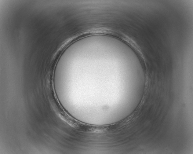 X0000081560155200701151009