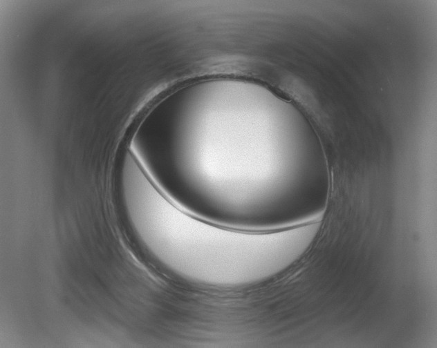 X0000081560156200701151009