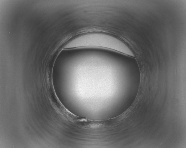 X0000081560158200701151009