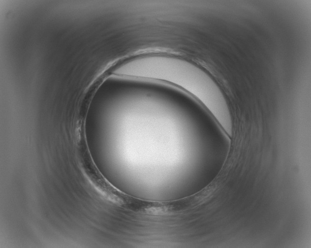 X0000081560160200701151009