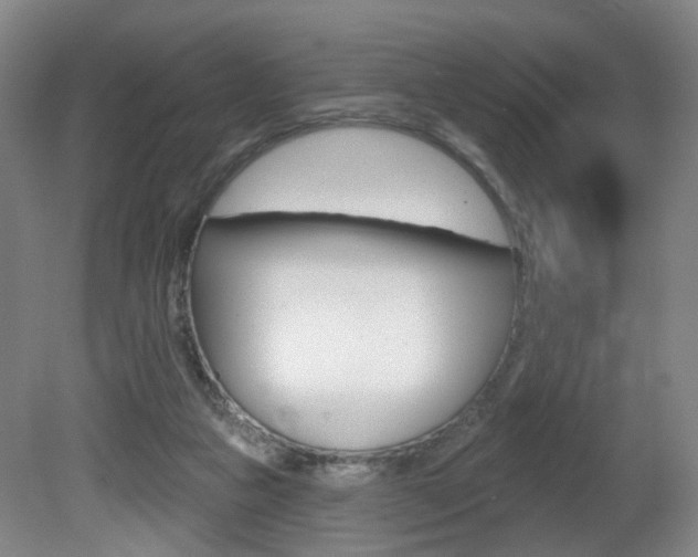 X0000081560161200701151009