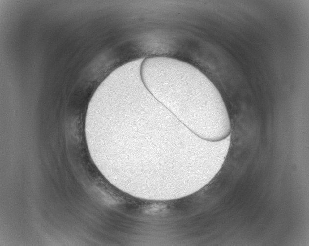 X0000081560162200701151009