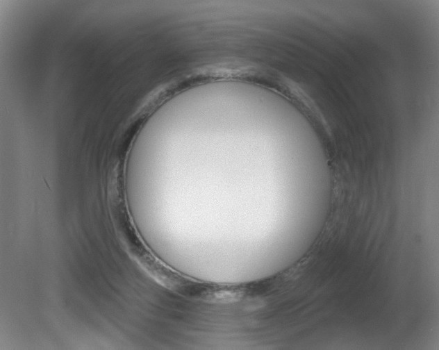 X0000081560163200701151009