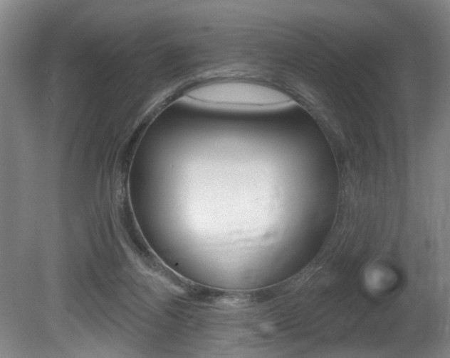 X0000081560164200701151009