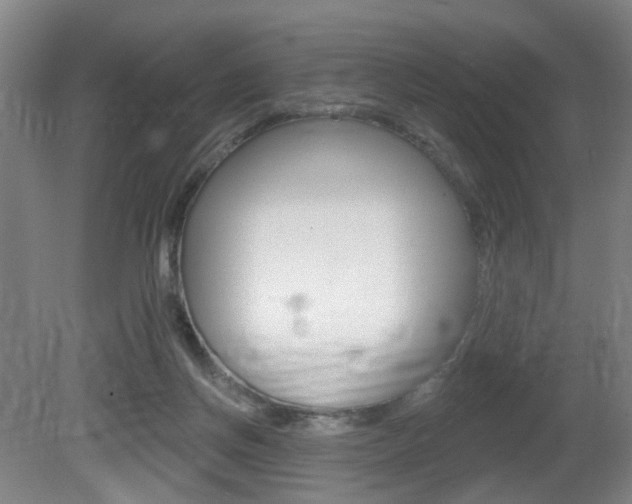 X0000081560166200701151009